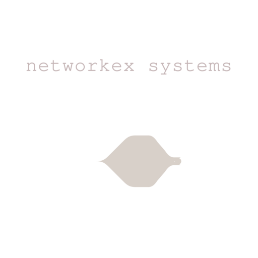 Логотип Networkex Systems
